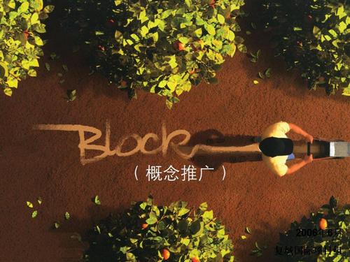 策源·上海复城国际Block概念推广案 以空间创新驱动上海网站推广新范式